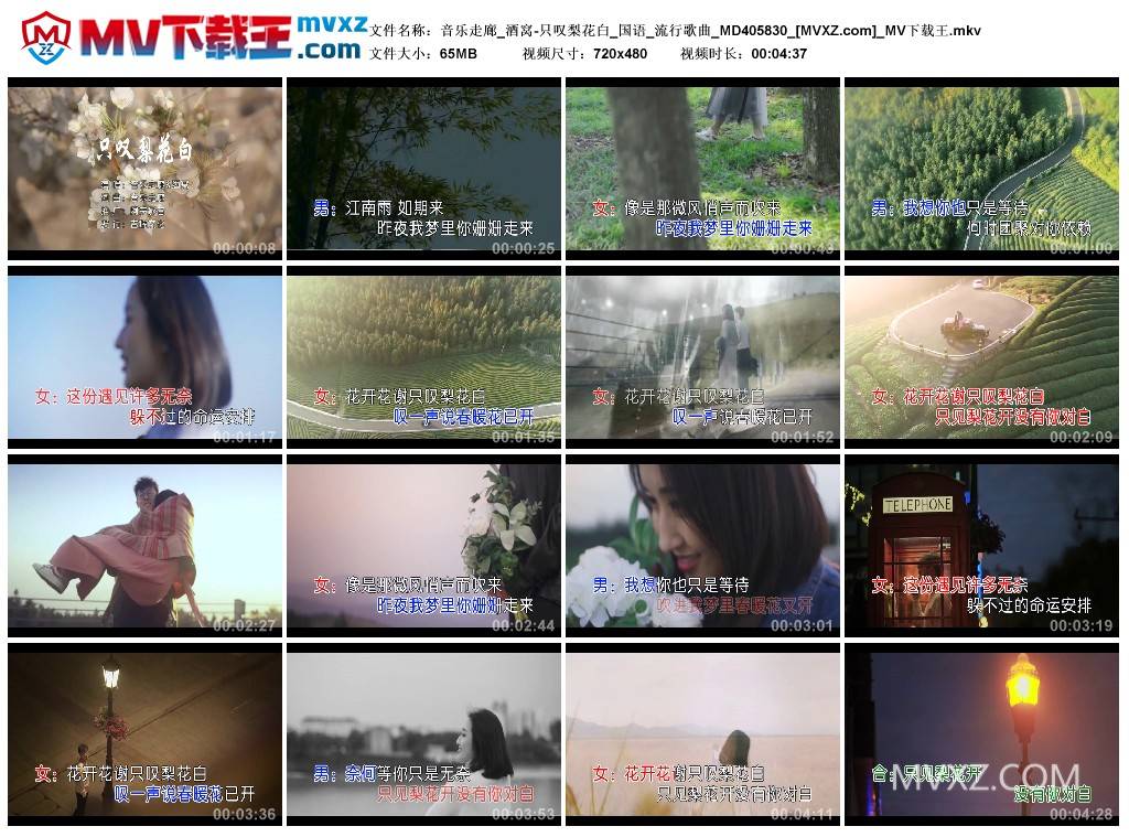 音乐走廊_酒窝-只叹梨花白_国语_流行歌曲_MD405830